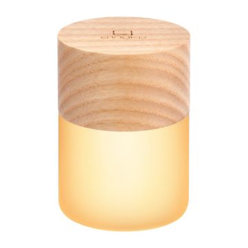 DecoraÈiune luminoasÄÃ®n culoare naturalÄcu USB Ã¸ 4,5 cm Lemelia âGingko