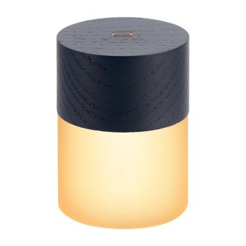 DecoraÈiune luminoasÄneagrÄcu USB Ã¸ 4,5 cm Lemelia âGingko