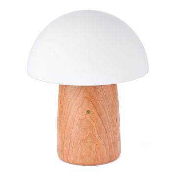 VeiozÄcu luminozitate reglabilÄÈi abajur din sticlÄ(Ã®nÄlÈime 32 cm) Alice âGingko