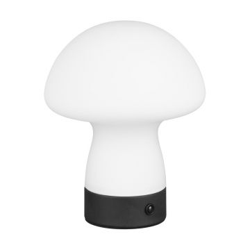 Veioză alb mat LED cu abajur din sticlă (înălțime 18 cm) Dooley – Trio