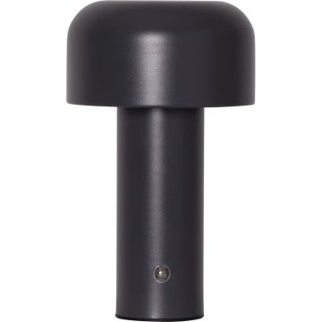 Veioză gri LED (înălțime 21,5 cm) Bobby – Star Trading